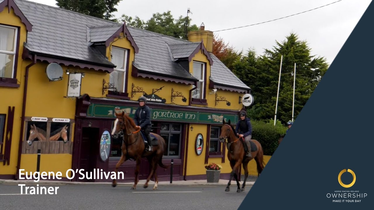 Eugene O'Sullivan, Trainer