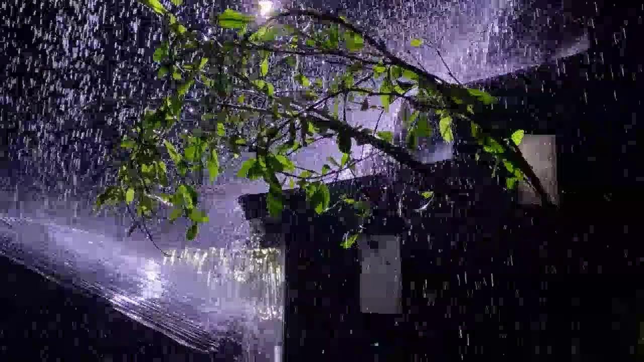 ASMR Rain on Tin Roof at Night | Fall Asleep Fast