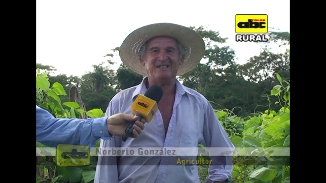 Uso de abonos verdes y su importancia
