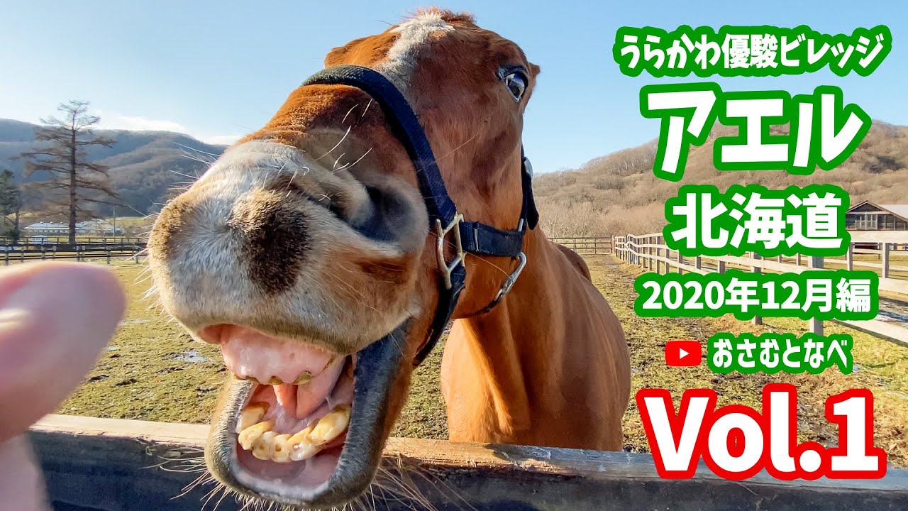 【外乗乗馬旅】「うらかわ優駿ビレッジアエル」初冬編Vol.1。人気実力度MAXなアエルにまた行って来ました
