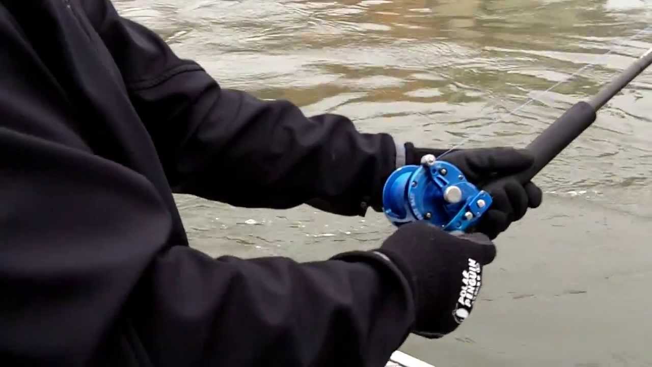 How to Sturgeon Fish