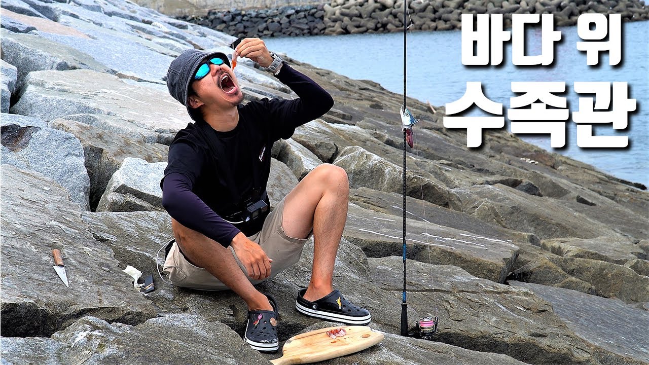 엉덩이 붙이면 이 곳이 바로 활어회 맛집!!!