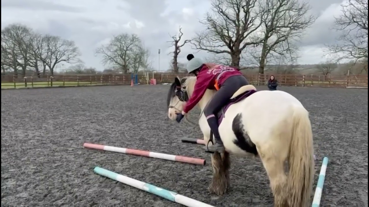 Lesson 8th Feb - not fully sound