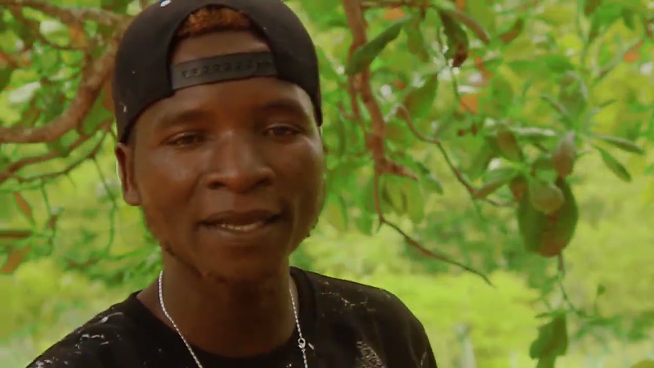 Compaplo,,,Ekoma Tza Miro e Djuny－－Video by Hortex maker
