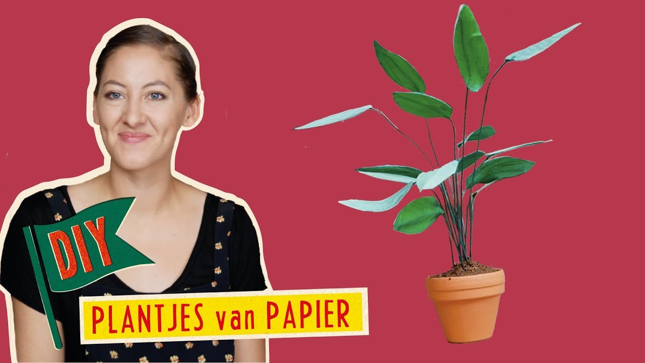 Knutselen & DIY // Plantjes van Papier | Muizenhuis Knipvellen