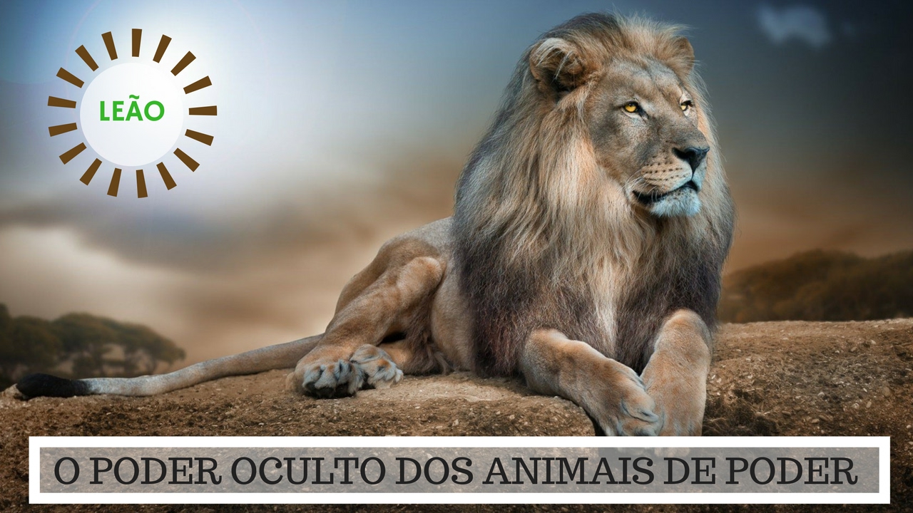 Significado do Le&atilde;o - O Poder Oculto do Animal de Poder!