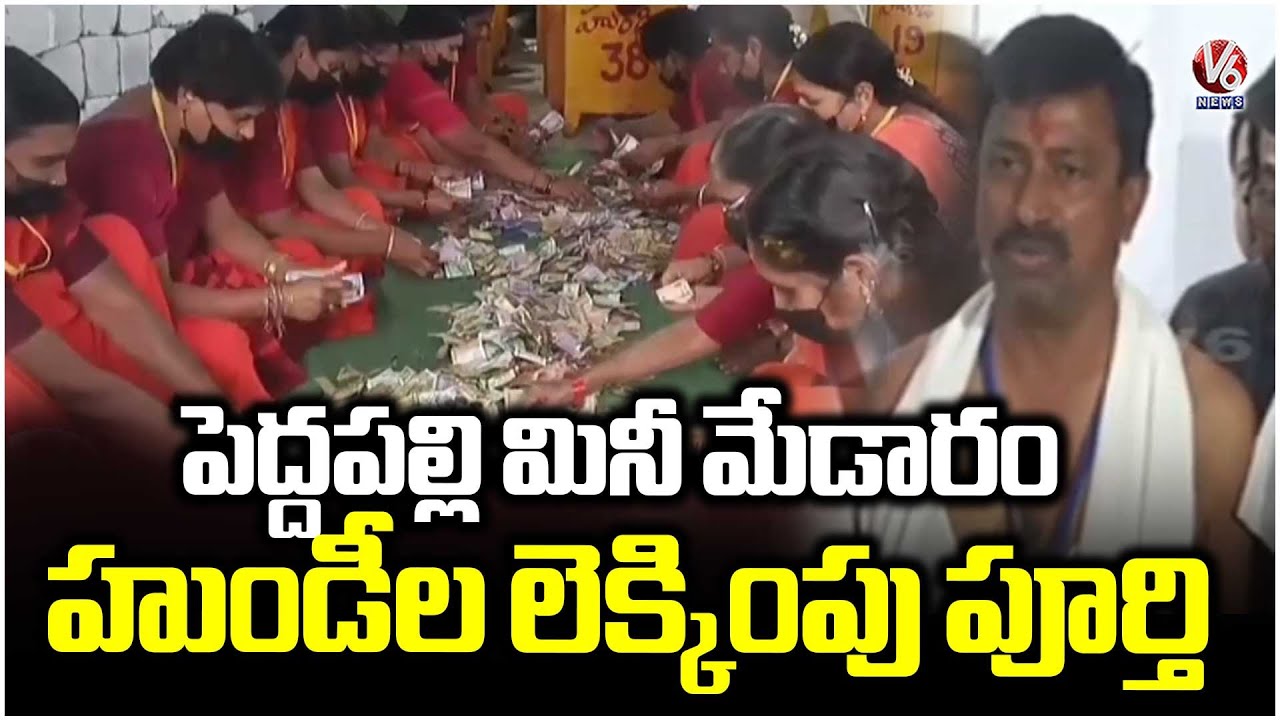 Hundi Counting Completes In Peddapalli Mini Medaram Jatara, Receives Rs.57 Lakh Income | V6 News