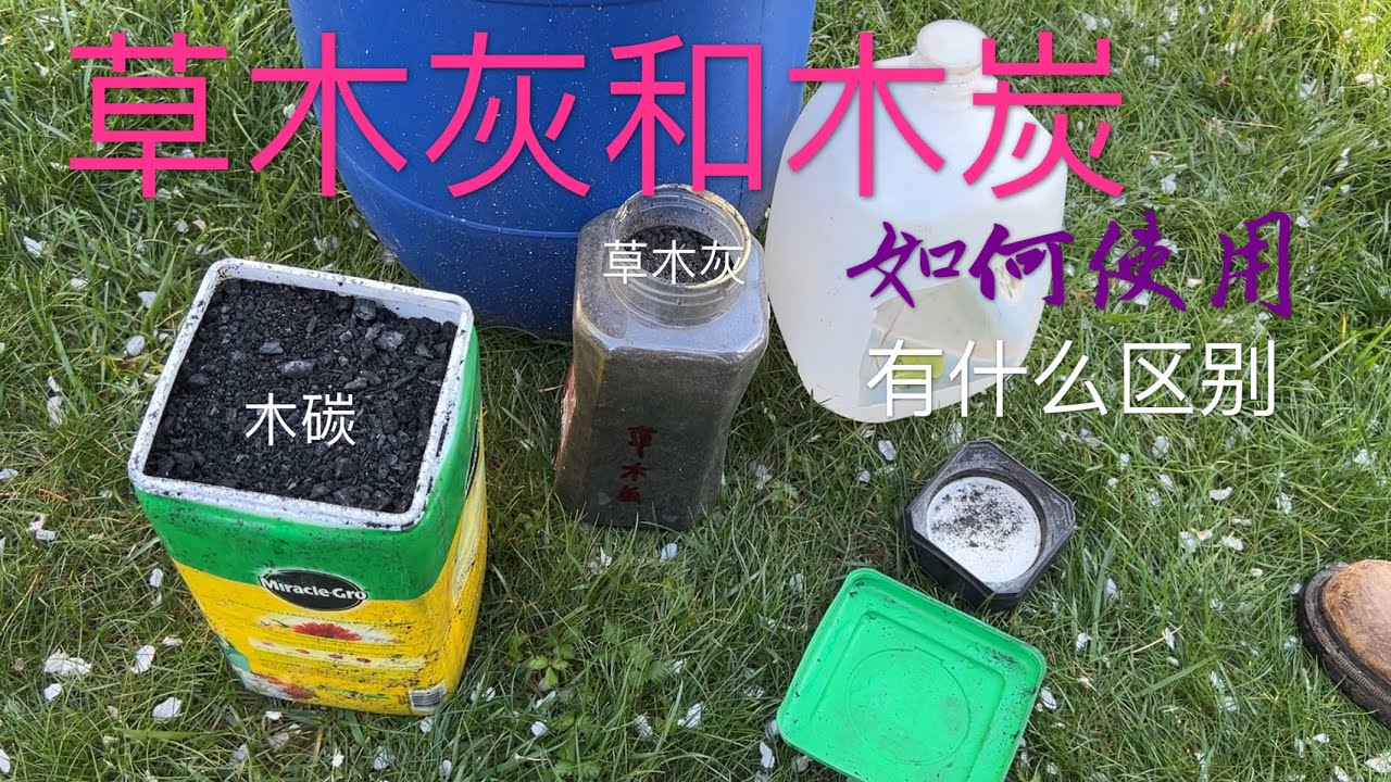 怎样把草木灰和木炭用在菜地里 草木灰和木炭有什么区别