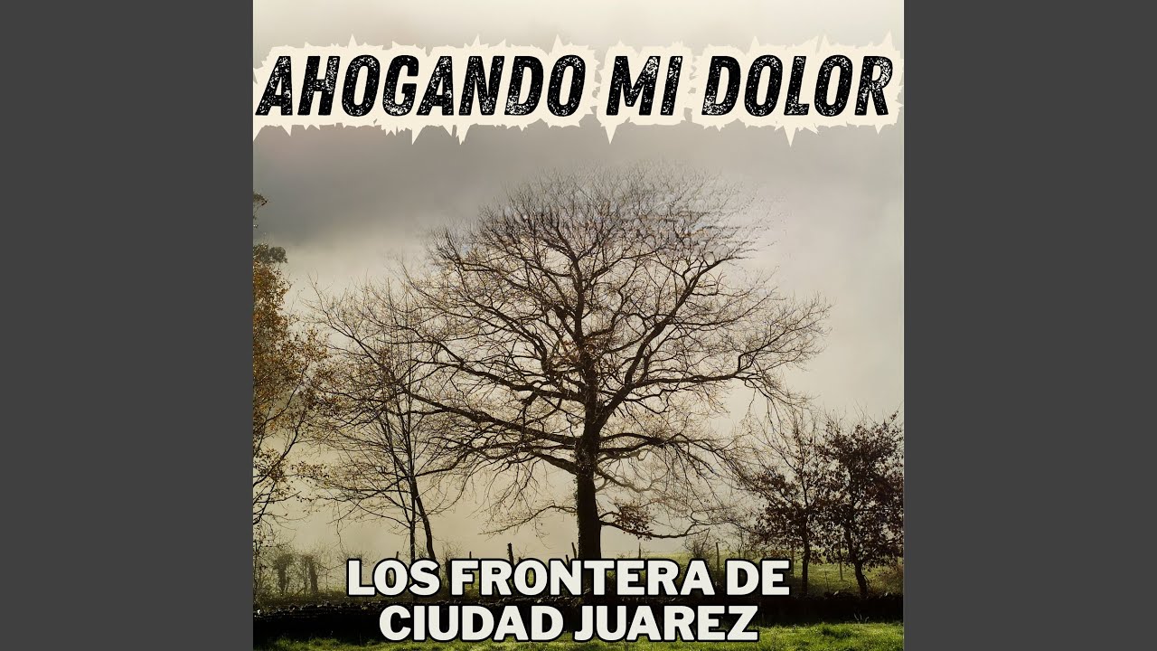 Ahogando Mi Dolor