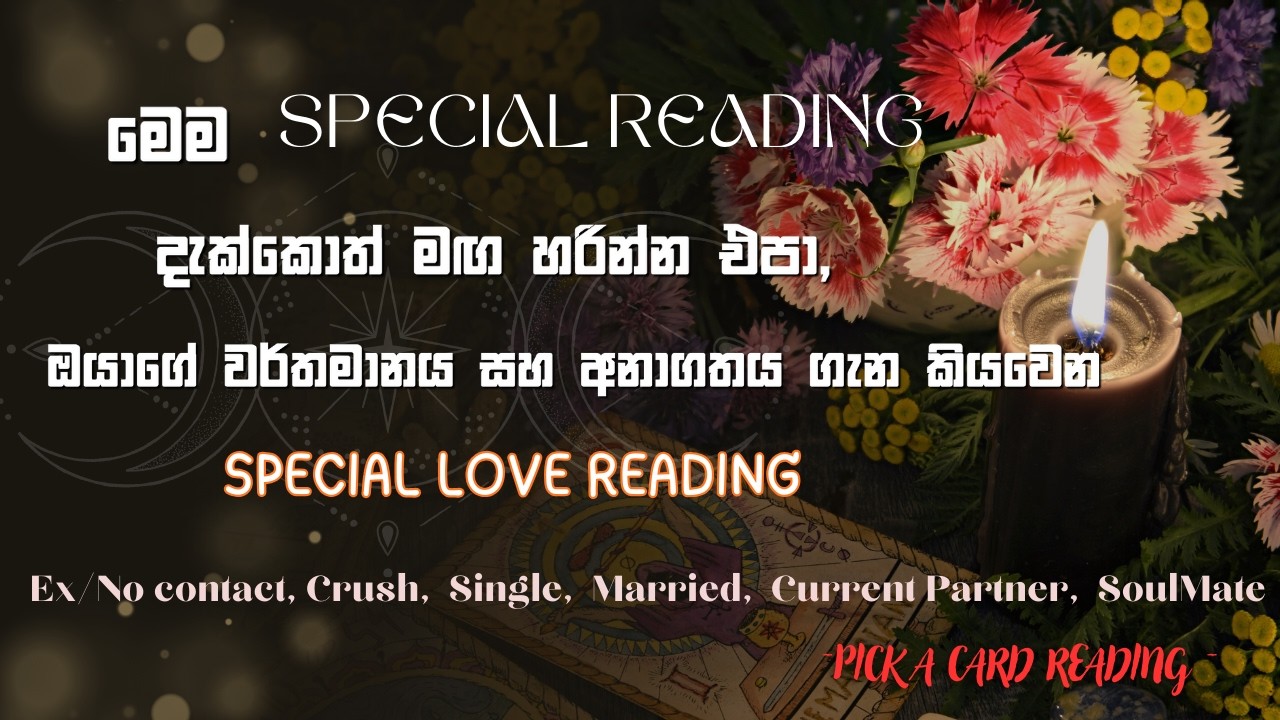 නැරඹිය යුතු විශේෂ Love Reading for Ex/No contact, Crush, Singles, Marriage Partner, Current Love 💖💖