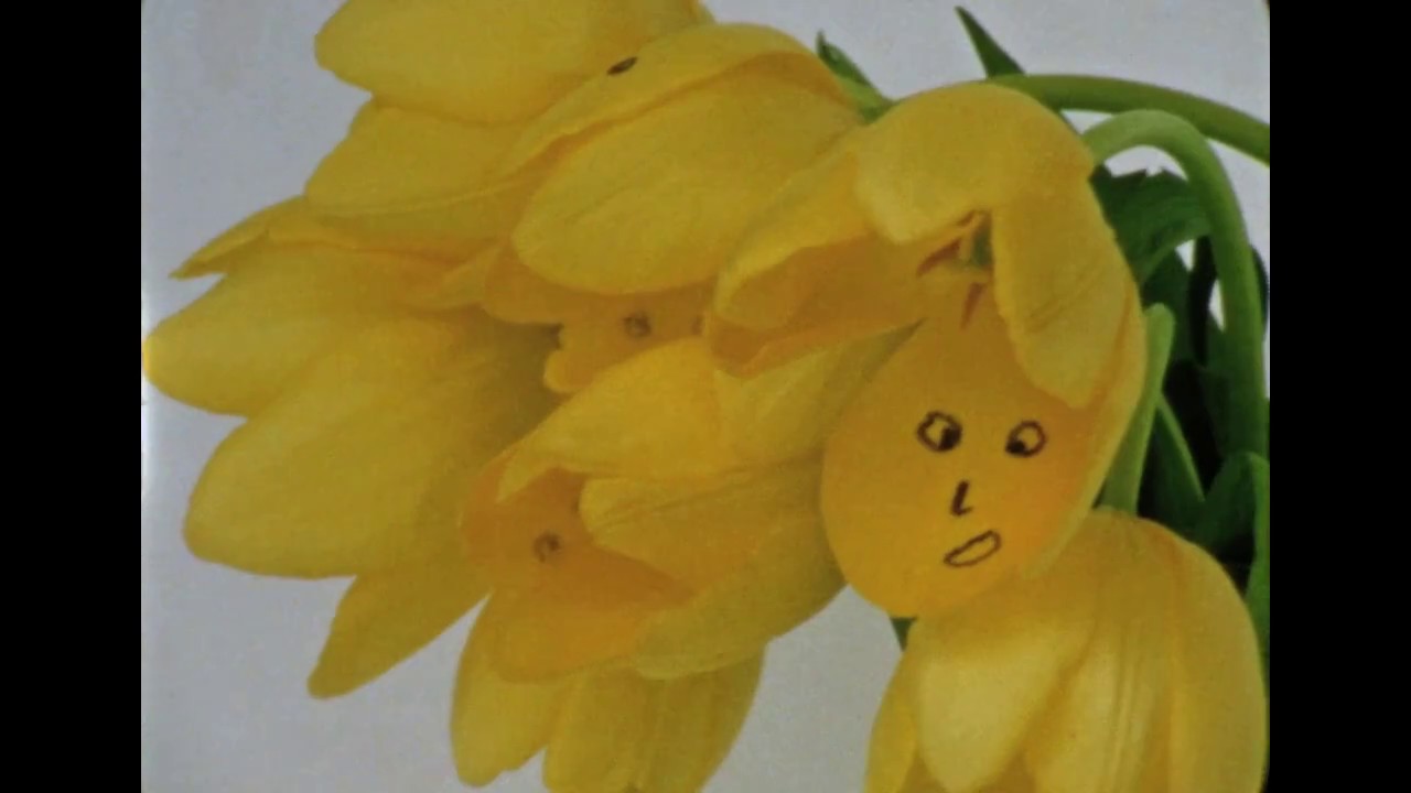 13 Essential Rules for Understanding the World