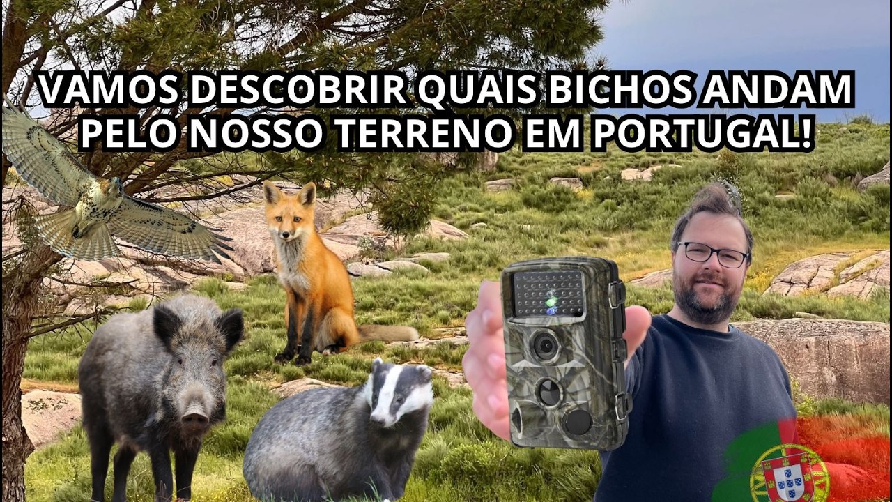 Ela voltou! E Vamos Descobrir Quais Bichos que Andam pela Nossa Quinta OffGrid em Portugal