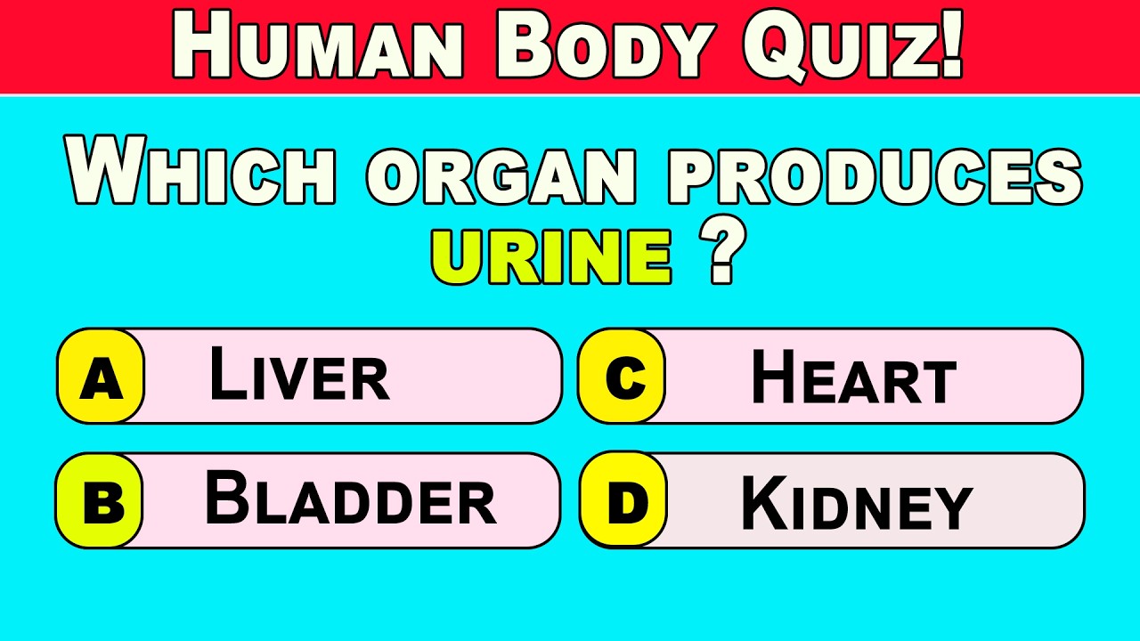 Human Body Quiz | 30 MCQ Questions About the Body