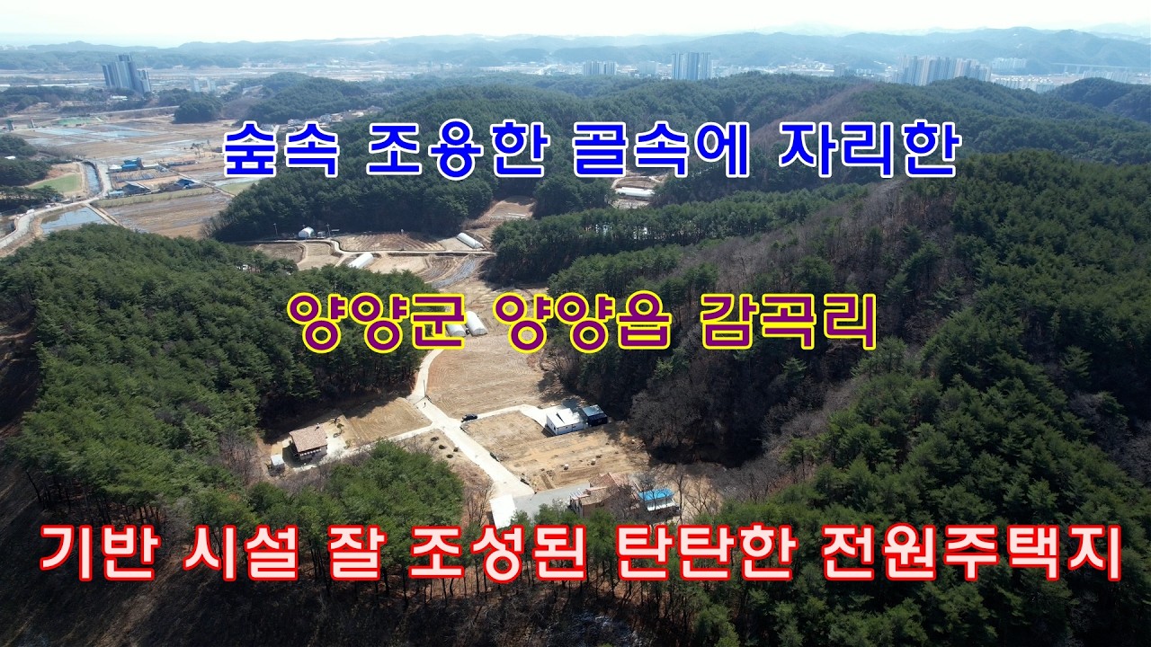숲속 조용한 골 속에 자리한 양양군 양양읍 감곡리의 기반 시설 잘 조성된 탄탄한 전원주택지