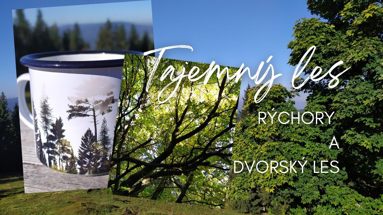 Tajemný les , Rýchory a Dvorský les