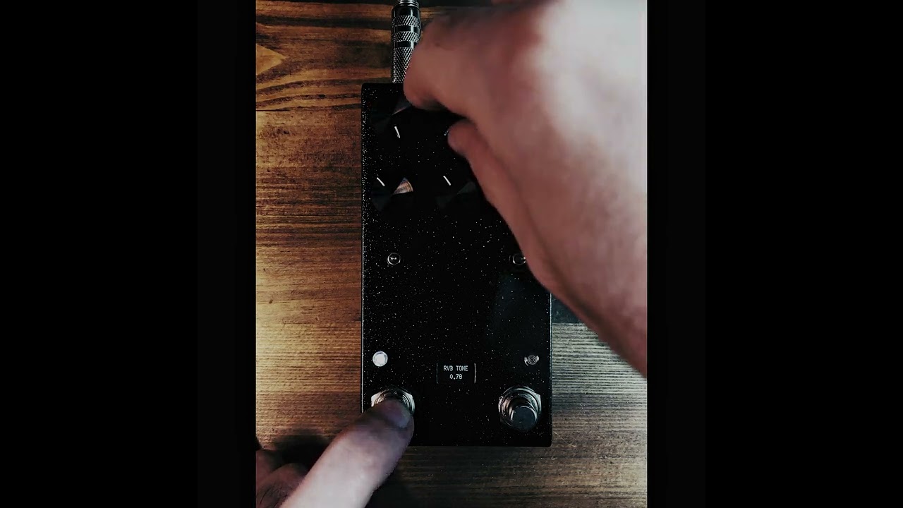 Analogworm ECHO 3
