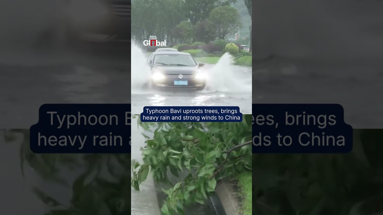 Typhoon Bavi Hits Eastern China, Nearly 2 Million Evacuated Amid Flood Threat #chinanews #bavi