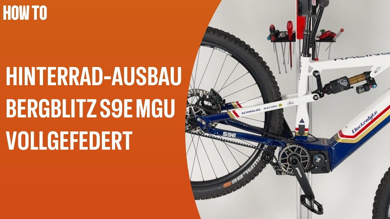 Hinterrad Ausbau Electrolyte Bergblitz S9E MGU vollgefedert. Pinion Motor.Gearbox.Unit E1.12