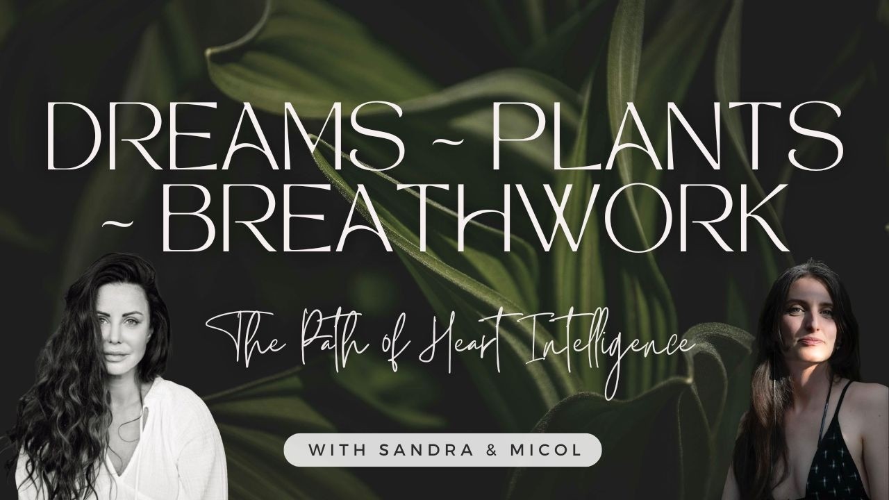 Dreamwork, Plants & Expanded States of Consciousness | A Conversation with Micol Souviney