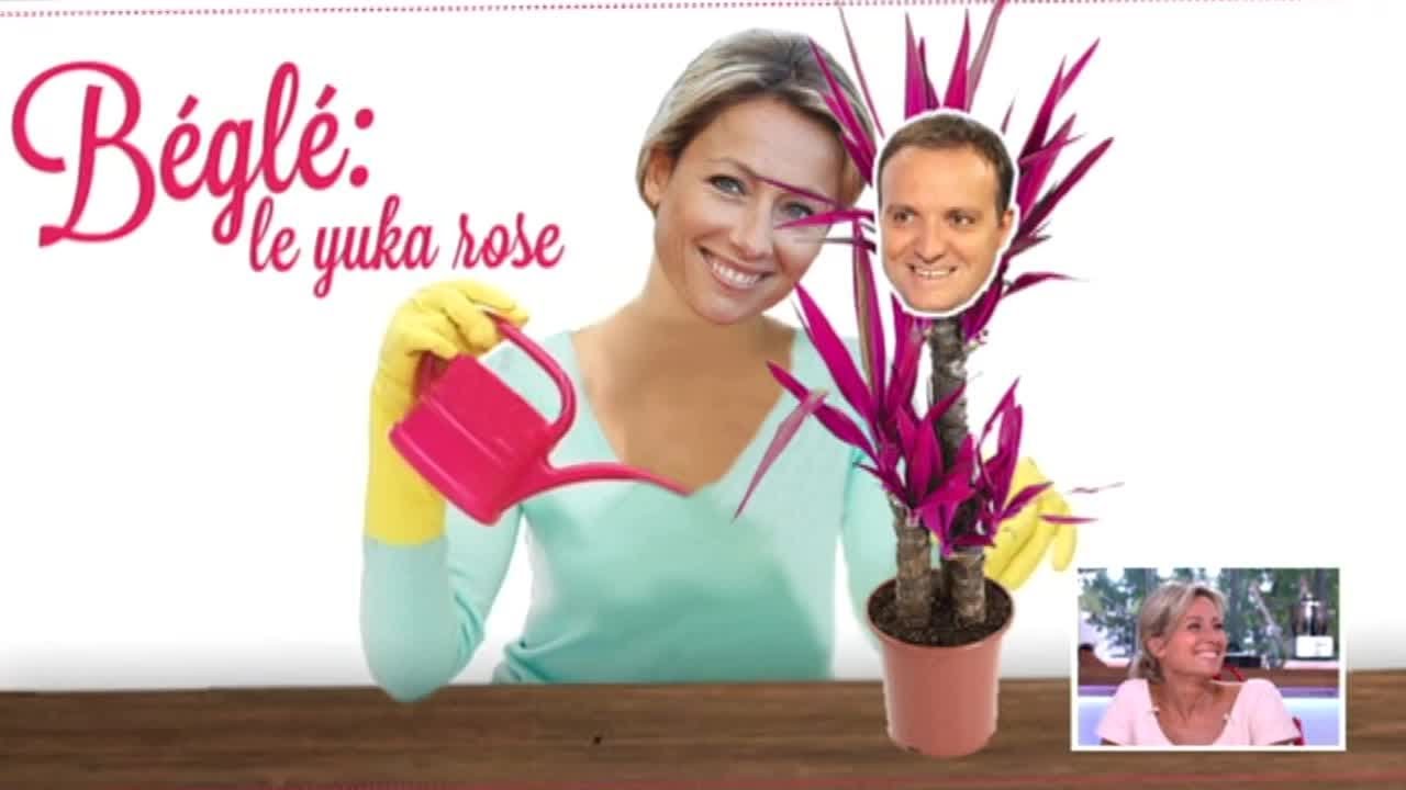 Le Débrief - C à vous - 03/06/2014