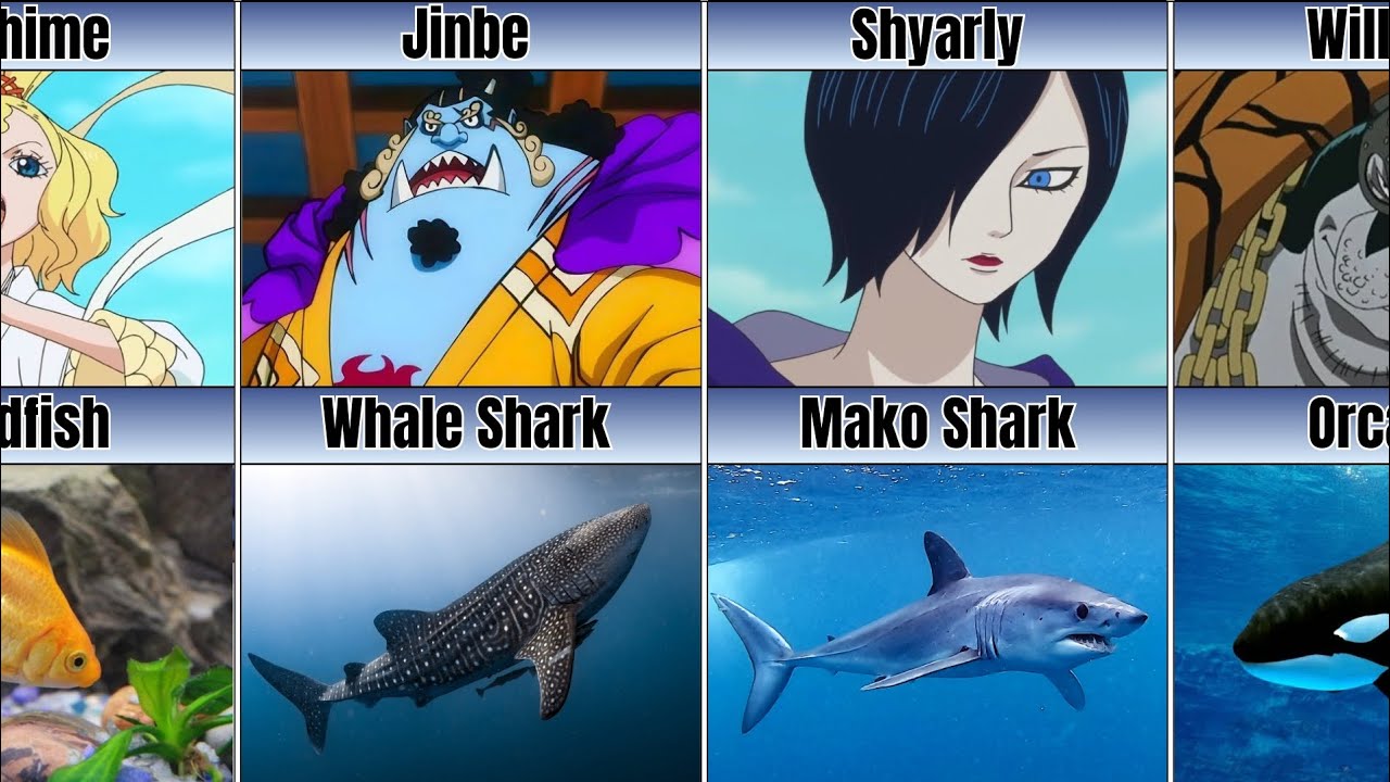 One Piece Fish-Men vs Their Real-Life Fish Inspirations