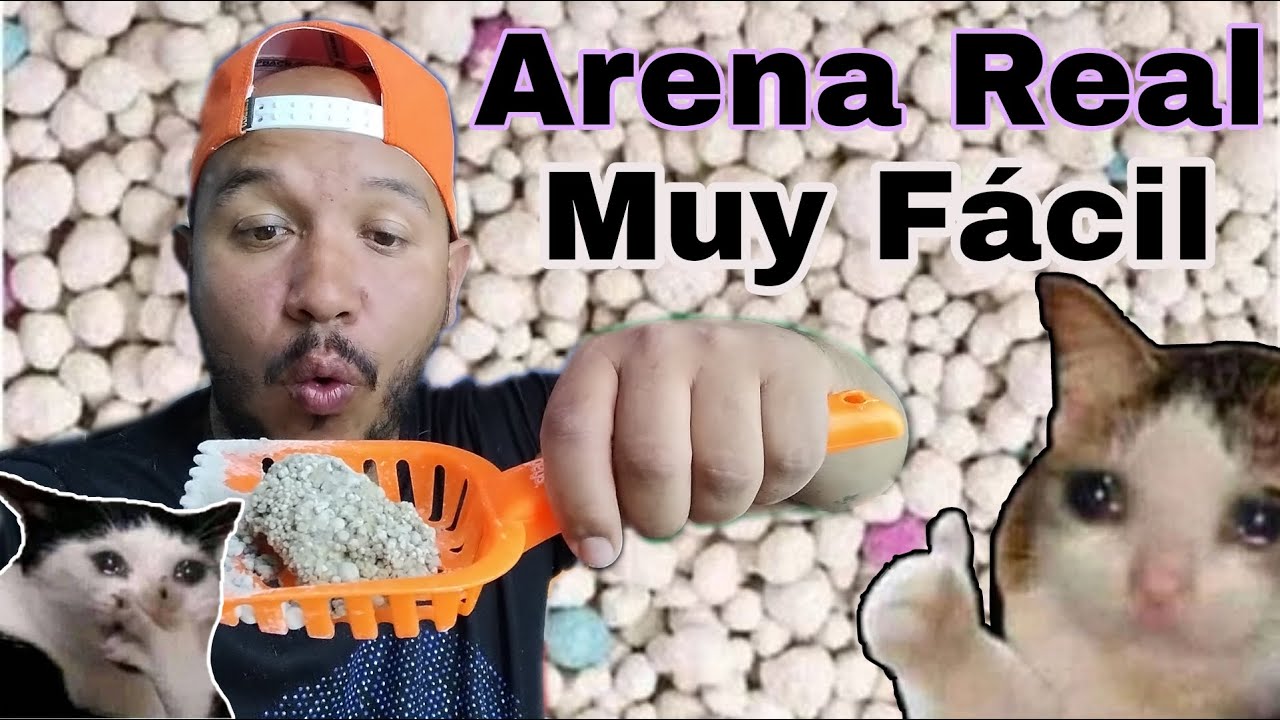 Como Hacer Arena para gatos 100% ORIGINAL| 🤐Formula Secreta🤐