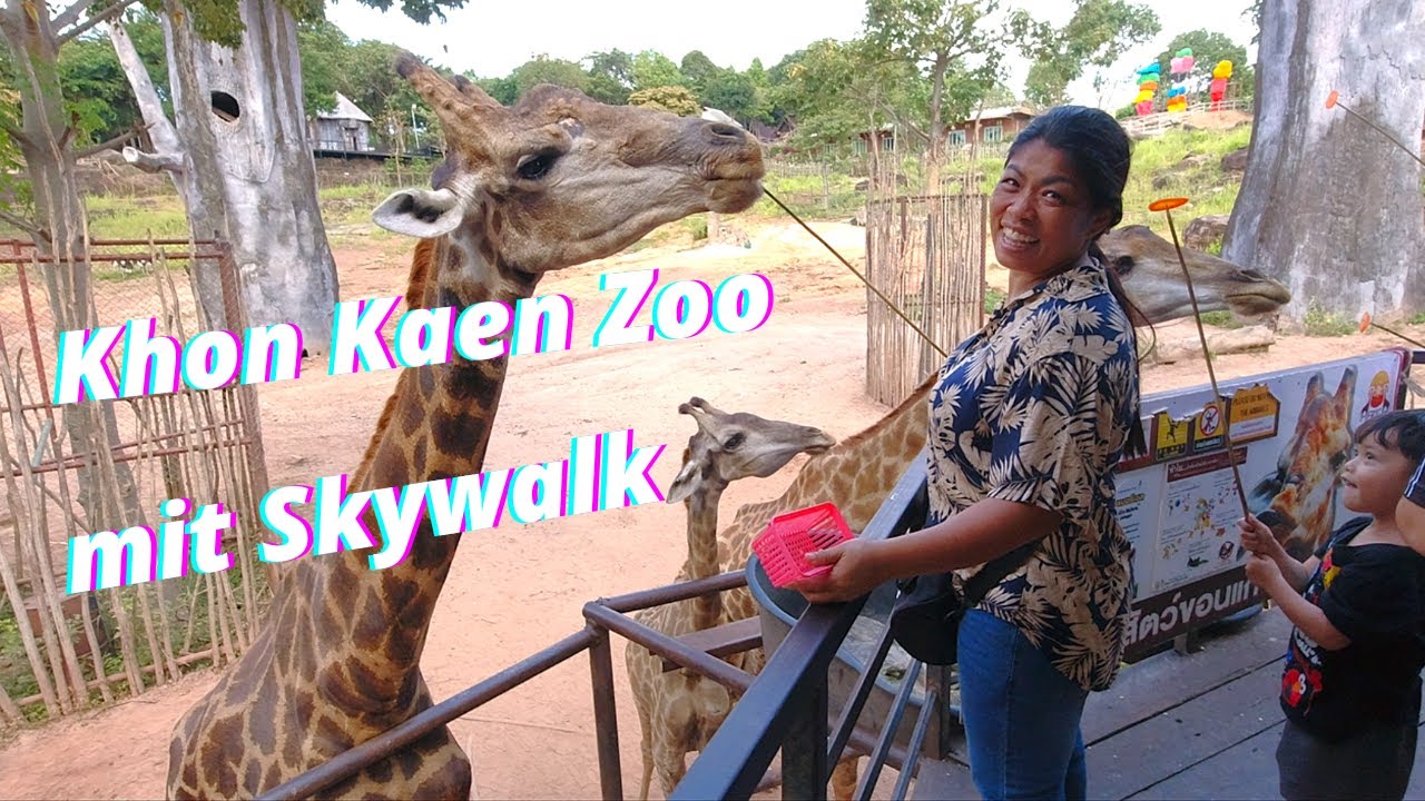 Der Khon Kaen Zoo mit alles, komplette Fahrt mit Skywalk, die Tour durch 5,34 Quadratkilometern Park