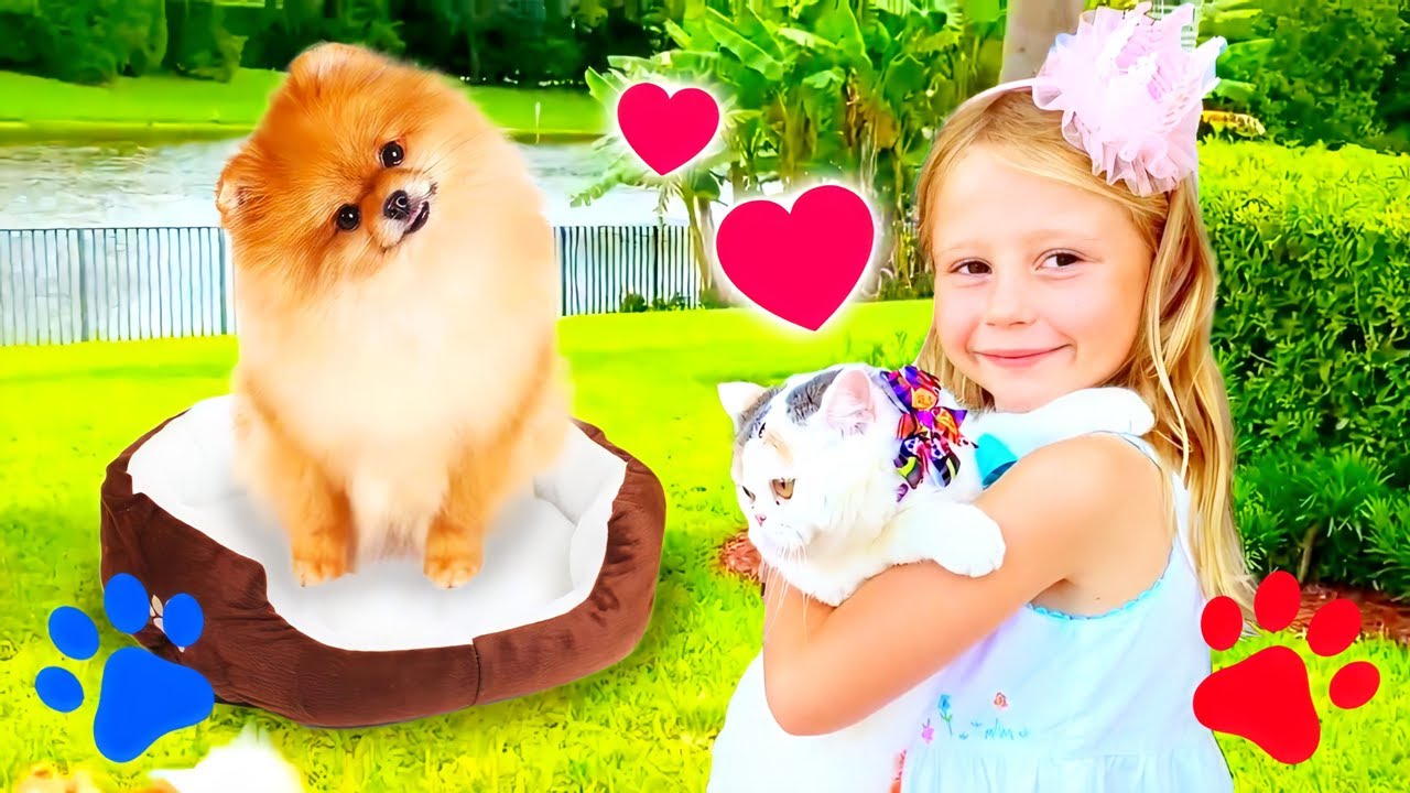 Nastya ve Stacy evcil hayvanlarını değiştiriyor, Yeni evcil hayvan hikayesi