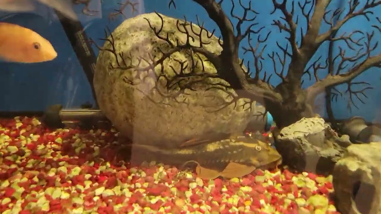 Boggs Aquatics Cold Saturday Store Tour