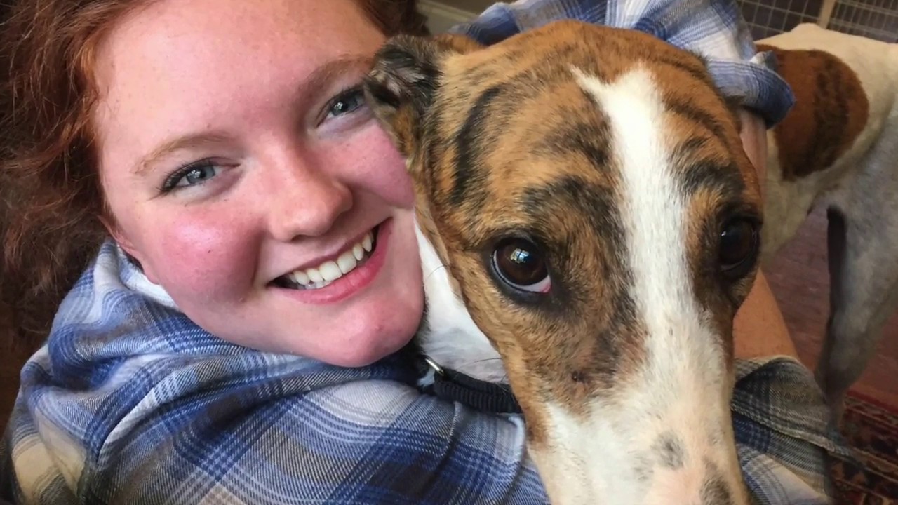 Getting Gary - A Greyhound Adoption Story