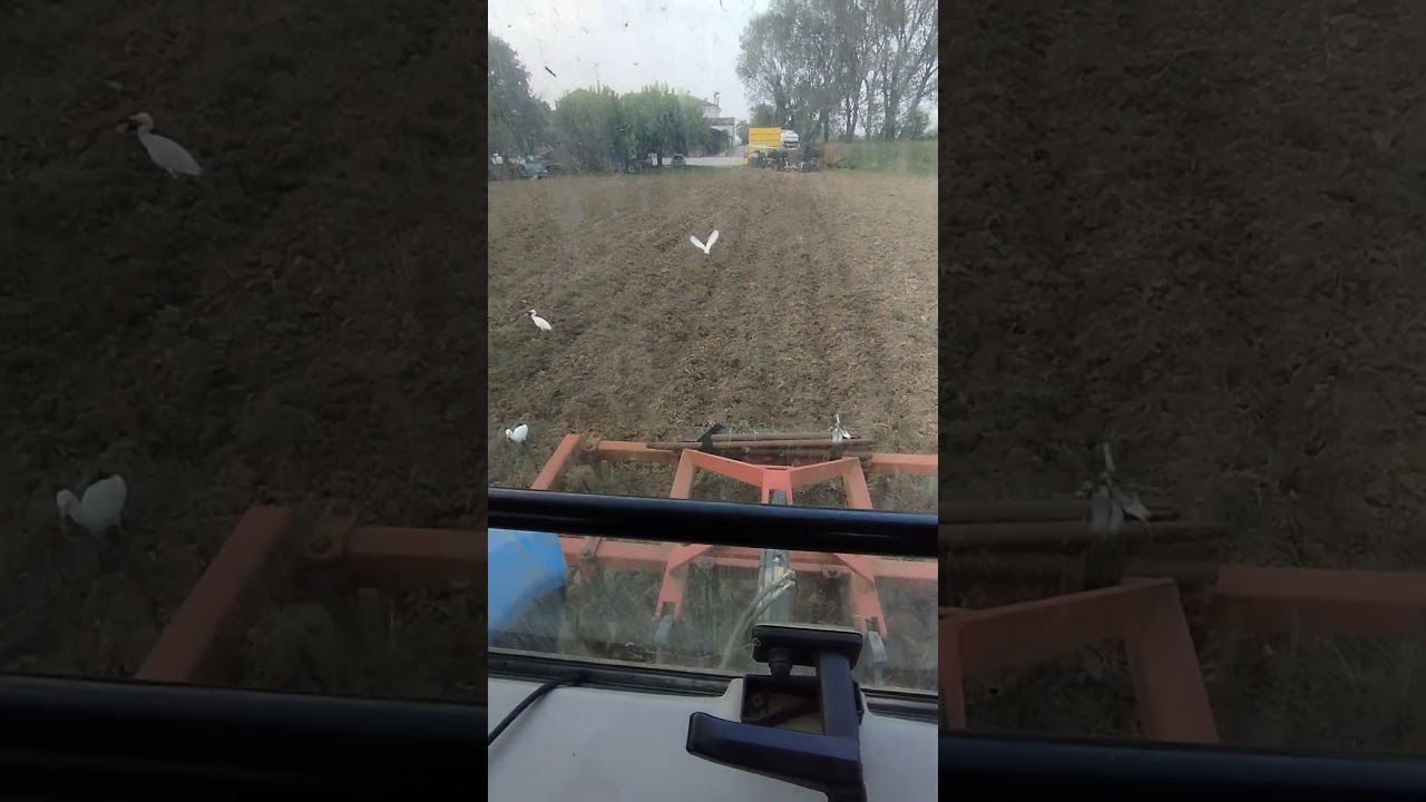 Landini Legend 130 | Ripuntatore