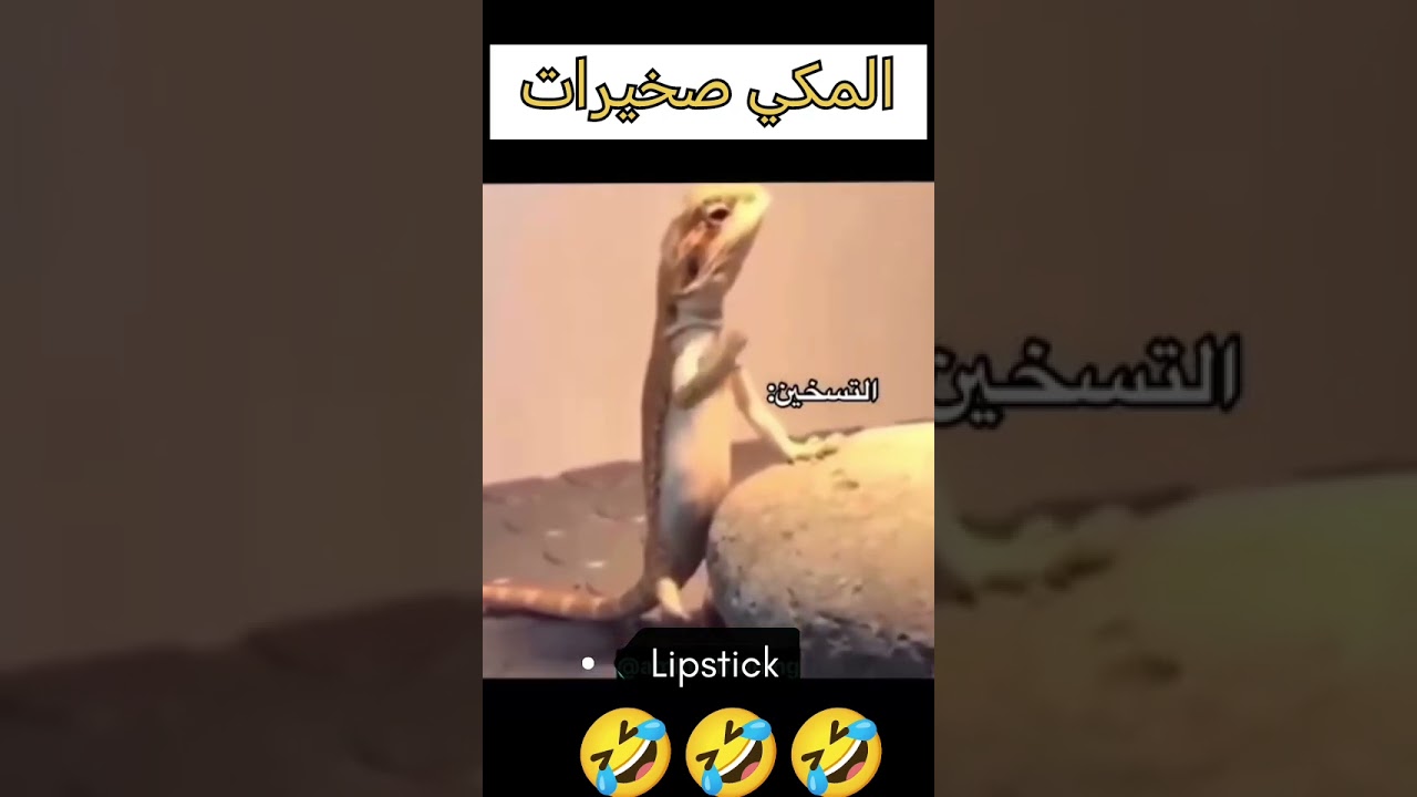 # facebook #instagram #mkstalin #ytjp #rihanna #hhhhhh #moroco777 #nba #rjhavani #jgrp #bcvn #hhhh