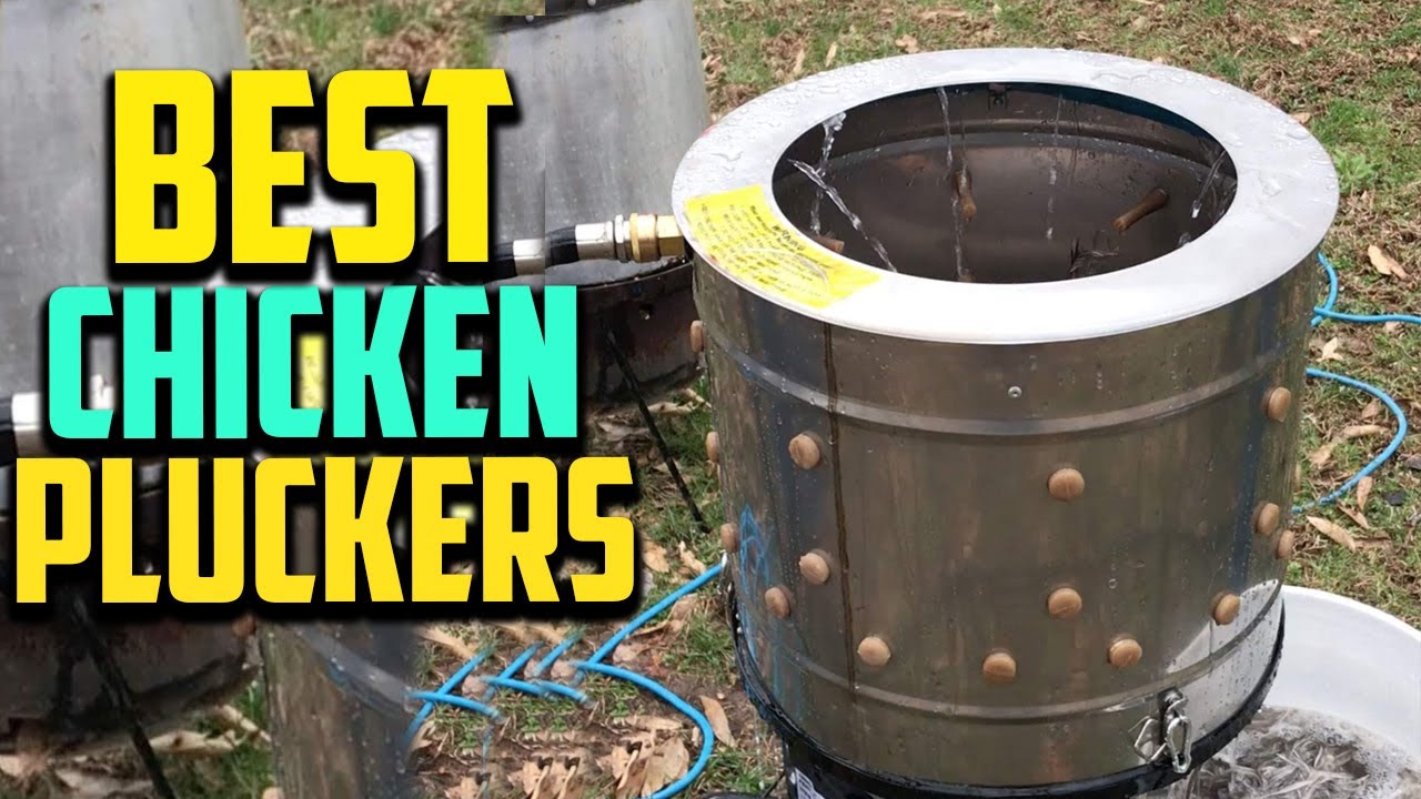 Top 10 Best Chicken Pluckers in 2025 Reviews