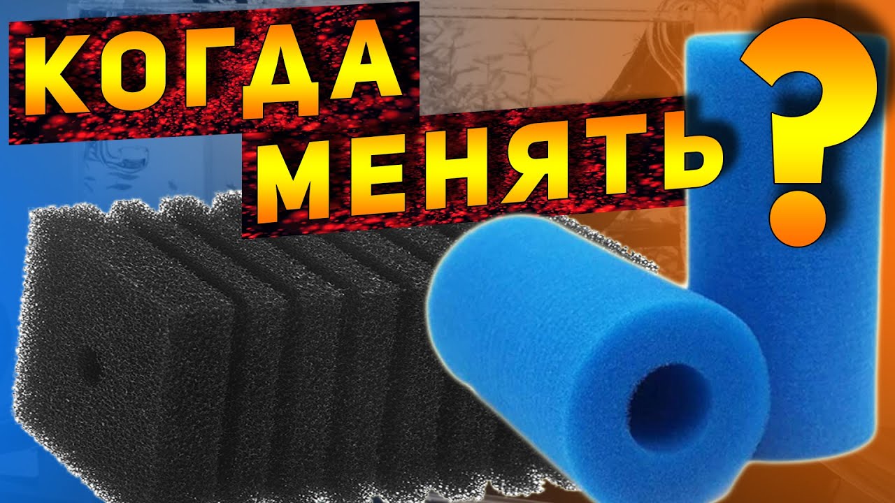 Когда менять губку фильтра!