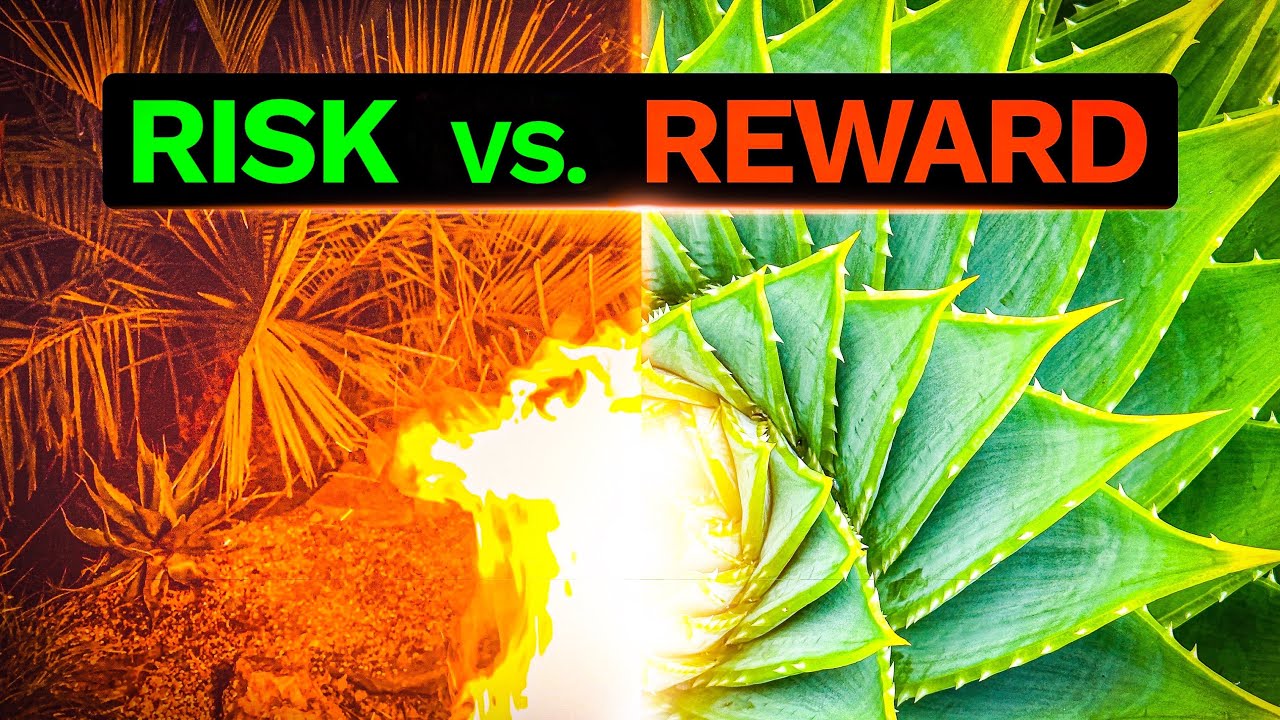 My 3 Biggest Exotic Plant Gambles