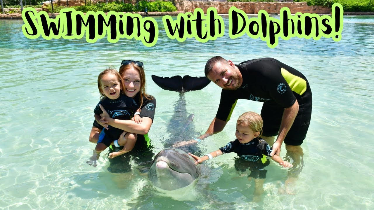 Swimming with Dolphins! Atlantis, Bahamas
