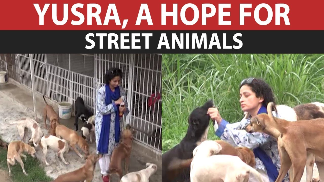 Lahore's Yusra creates example by owning street animals