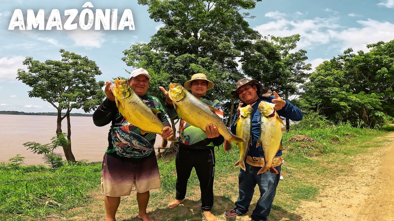 Pescando APAPA SARDINHA PACÚ SURUBIM E ARACÚ nas Águas BARRENTA do Rio Solimões no AMAZONAS