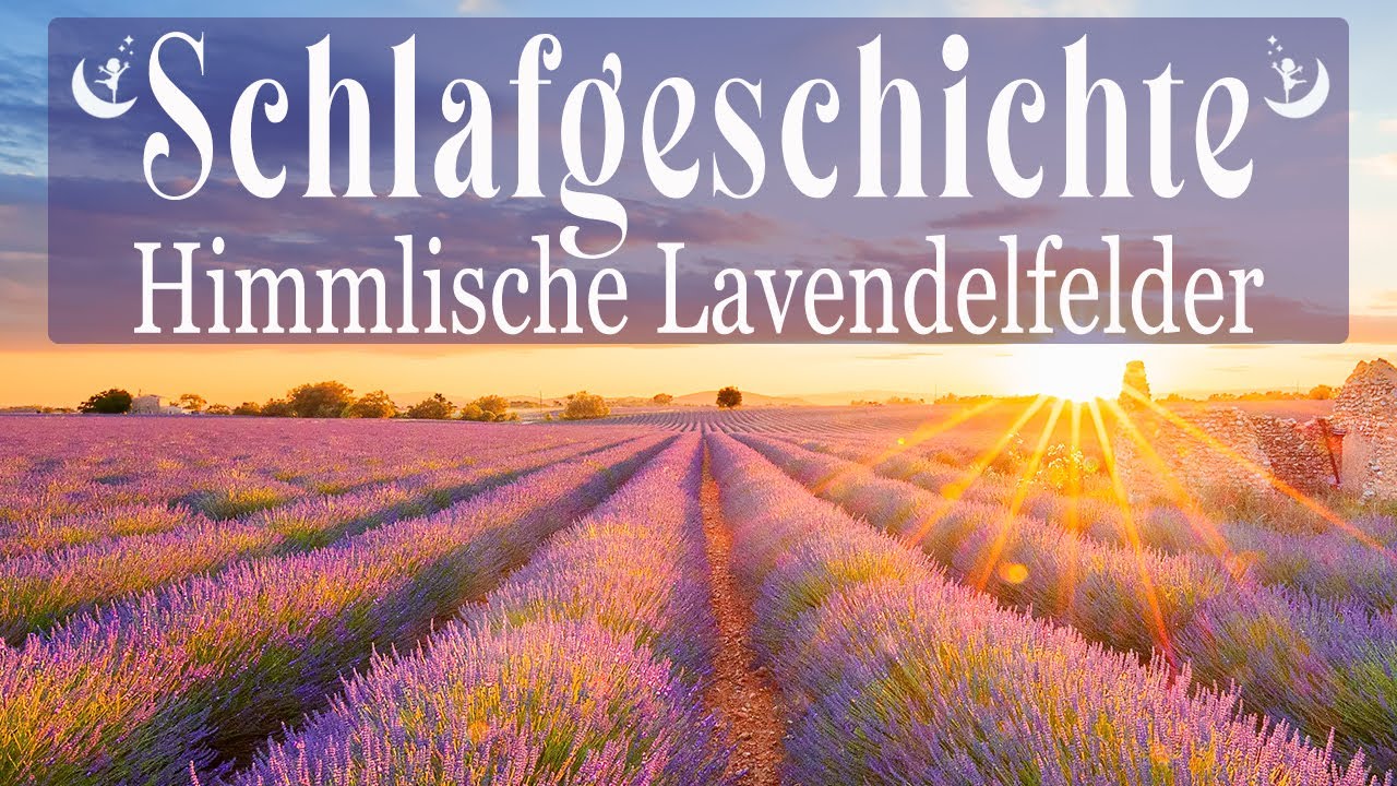 Leicht einschlafen & ruhig durchschlafen ✦ Meditation zum Schlafen ✦ Schlafgeschichte Lavendelfelder