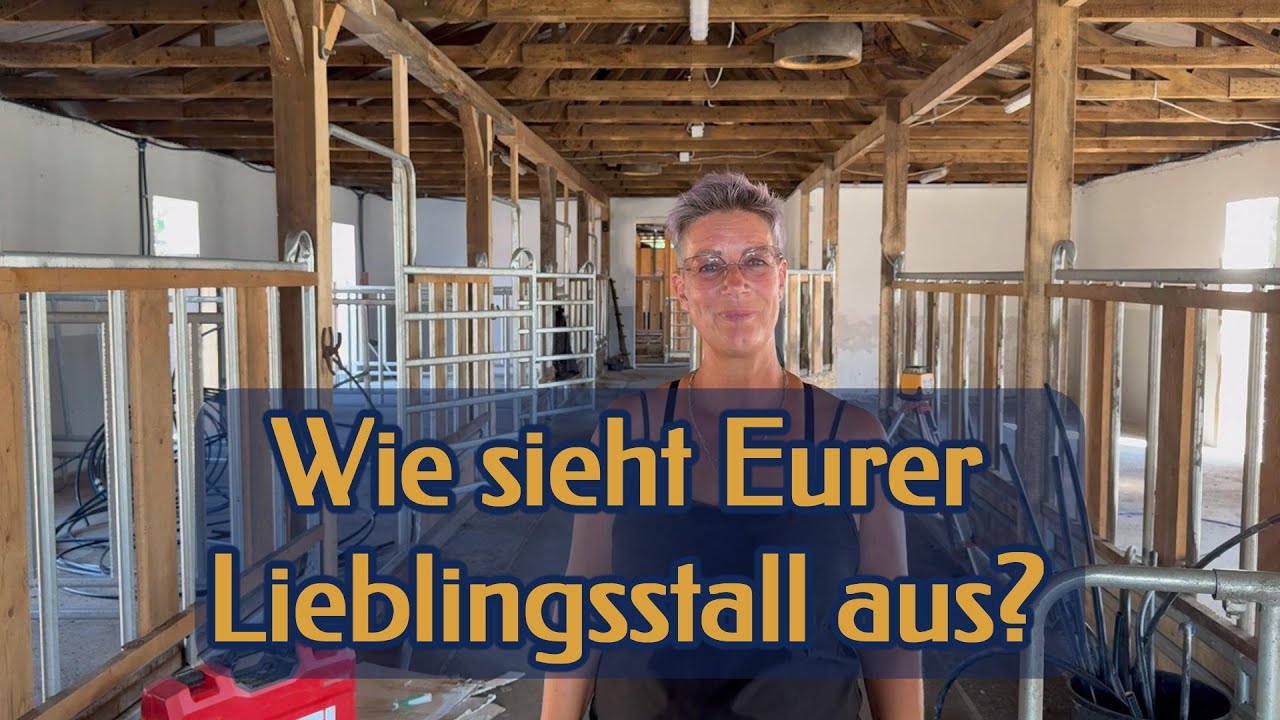 Wir gestalten unser Pferdeparadies! 🌞🐴