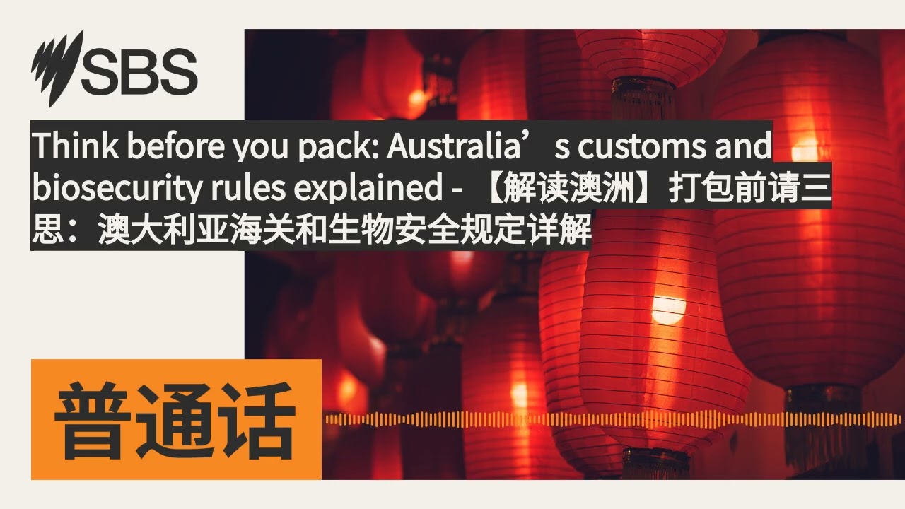 Think before you pack: Australia’s customs and biosecurity rules explained -...