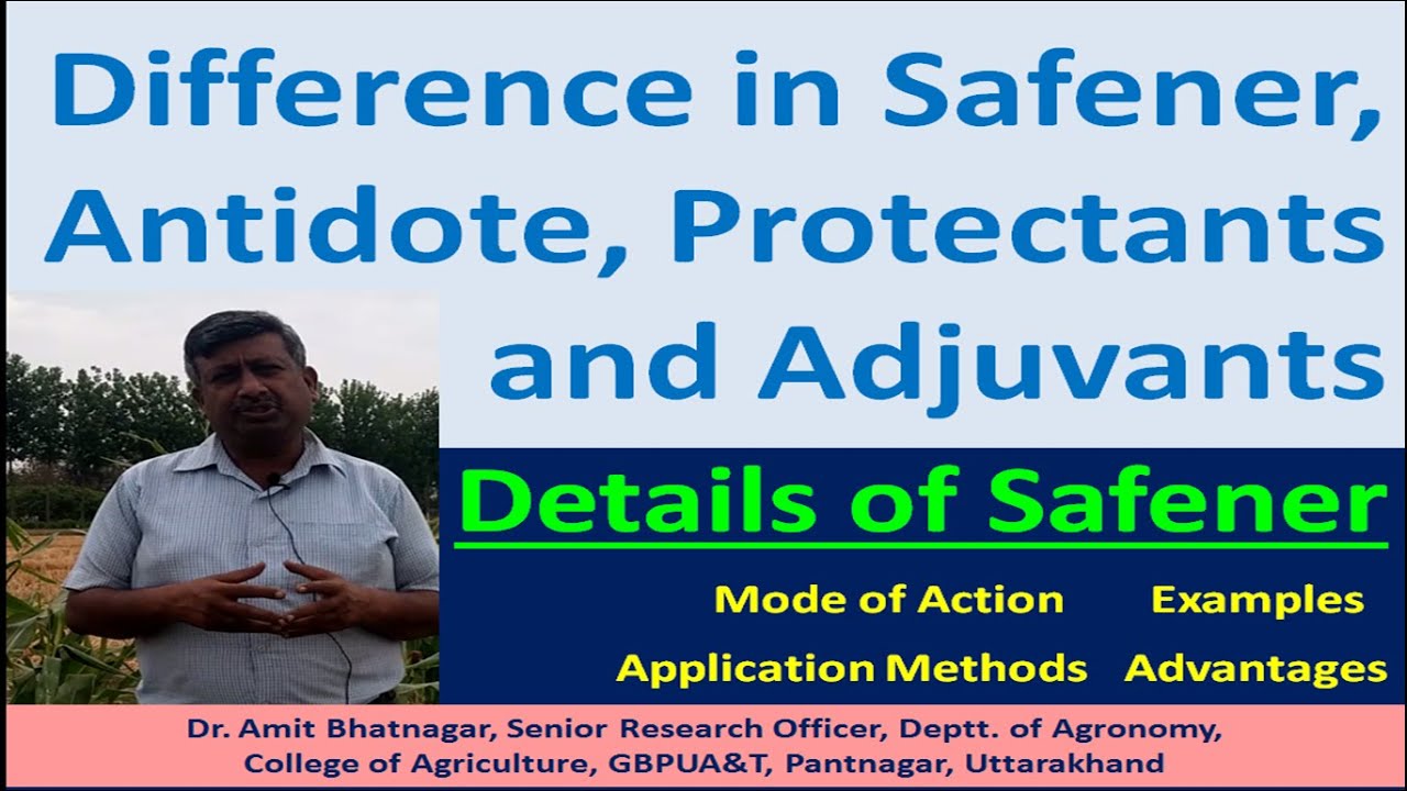 Difference in Safener, Antidote, Protectants and Adjuvants and Details of Safeners