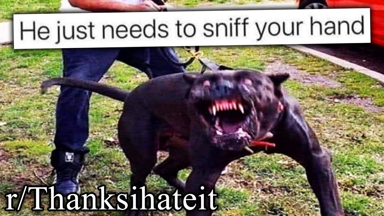 r/TIHI | he will inhale you.