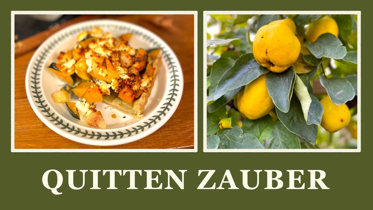#11 Quitten Zauber - köstliche Rezepte, Tipps zum Anbau