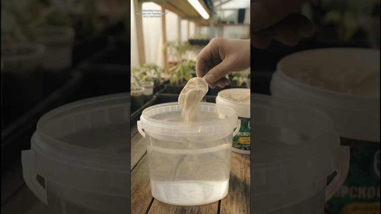 Рассада сходит с ума от этой подкормки! 🥰🌱🔥