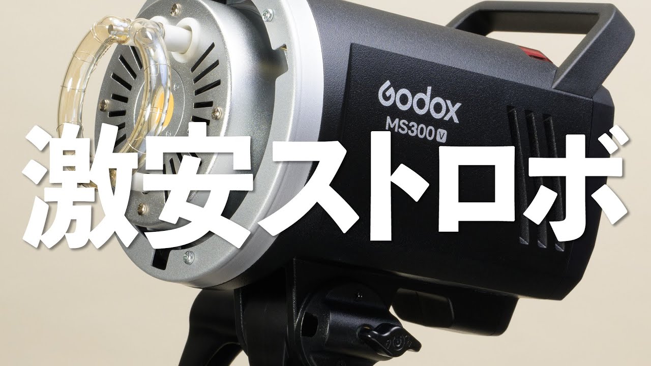 Godox MS300-V 2万円のストロボはまともに使えるのか？｜写真撮る人鈴木遥介