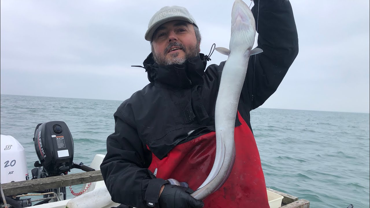 Reef fishing ,conger , pout and dog fish