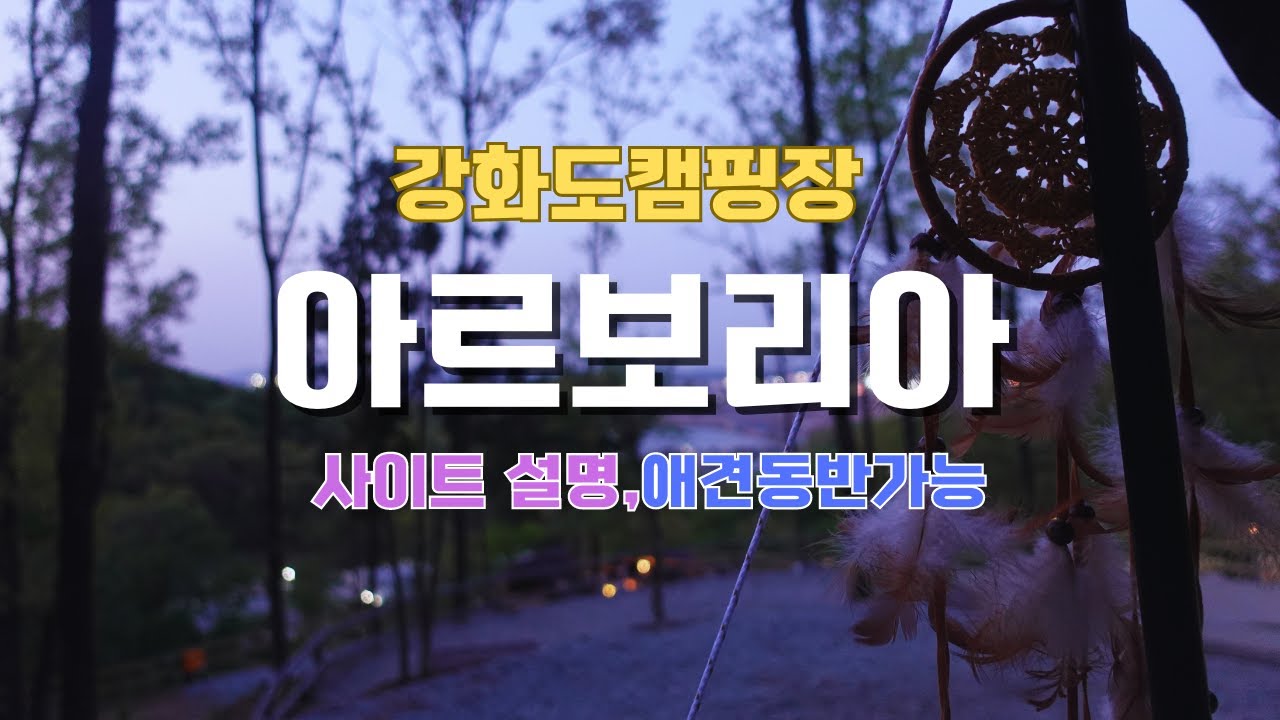 강화도 캠핑장, 아르보리아 사이트 돌기(애견동반가능)