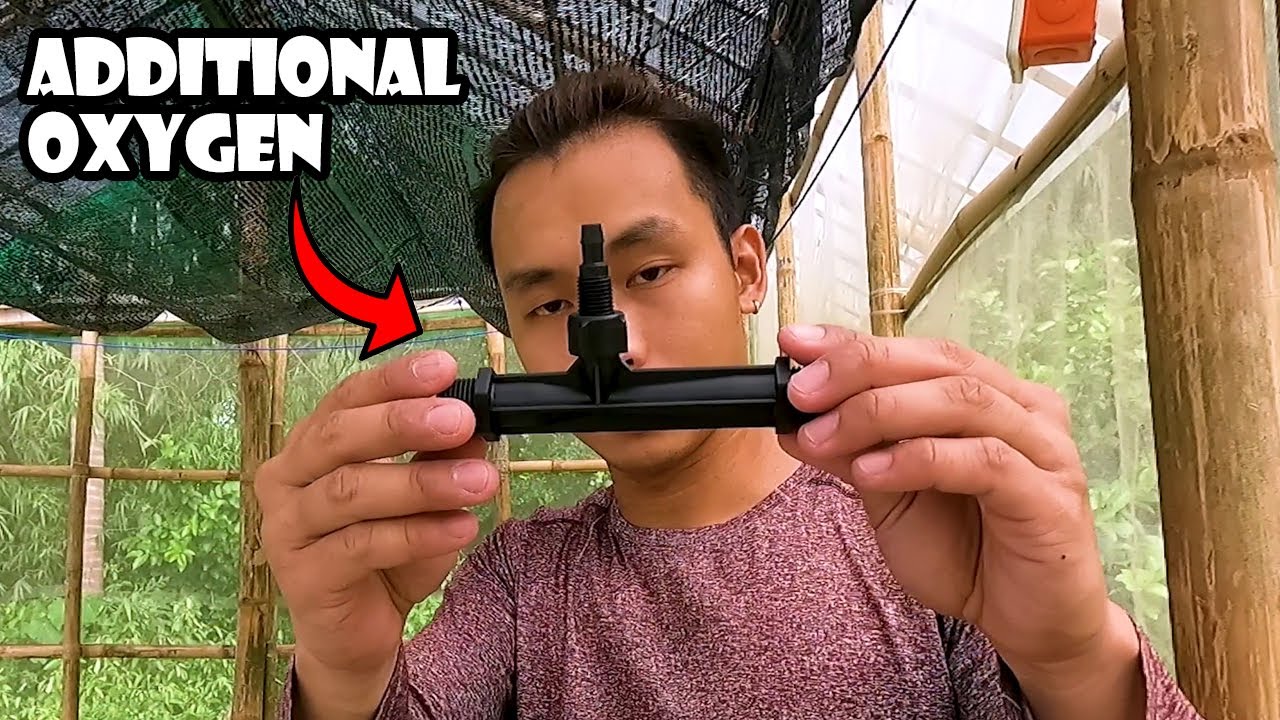 Additional Oxygen Without Additional Electricity Consumption in NFT System for Hydroponics