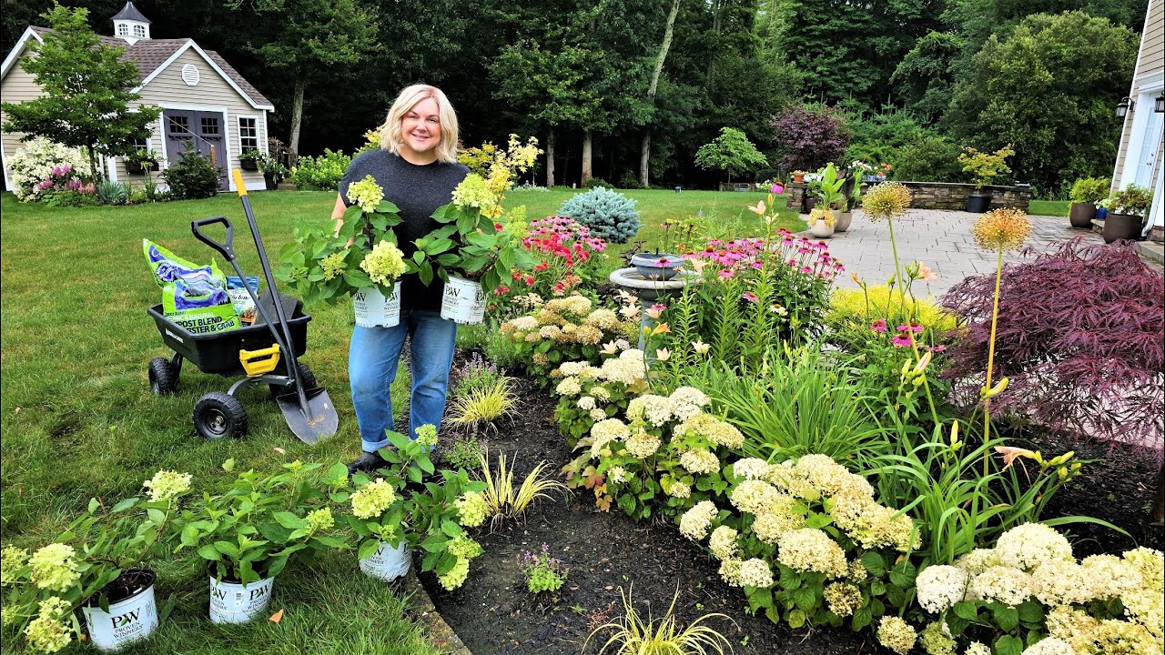 Gorgeous & Compact Hydrangeas! Swapping Wee White Hydrangeas to Firelight Tidbit Hydrangeas